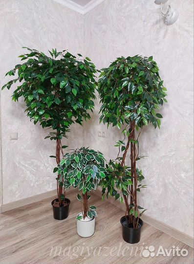 Искусственное дерево фикус