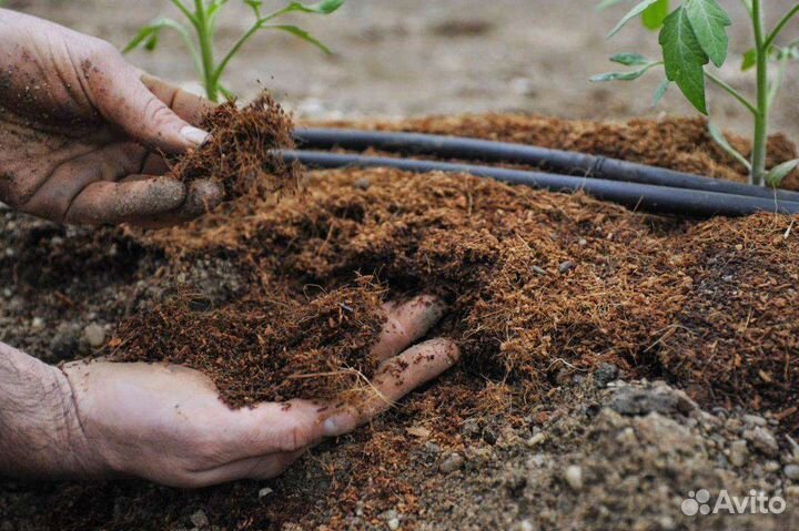 Перегной, навоз,чернозем