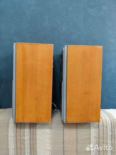 Акустические колонки 15 ас-109 «Вега»