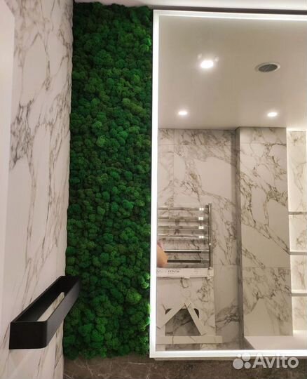 Стабилизированный мох, панно