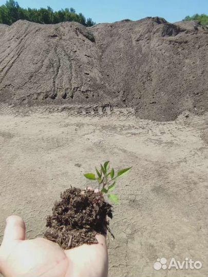 Навоз коровий удобрение в мешках 25 л