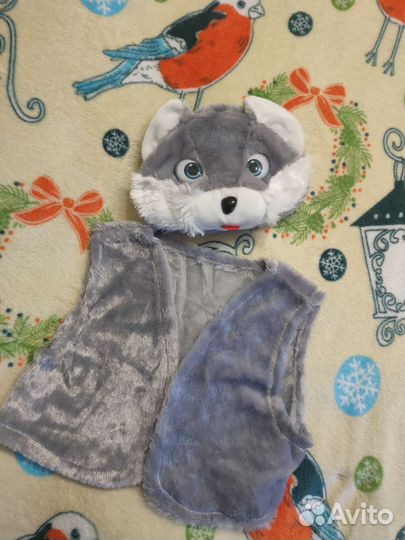 Костюм на нг (2-3г)