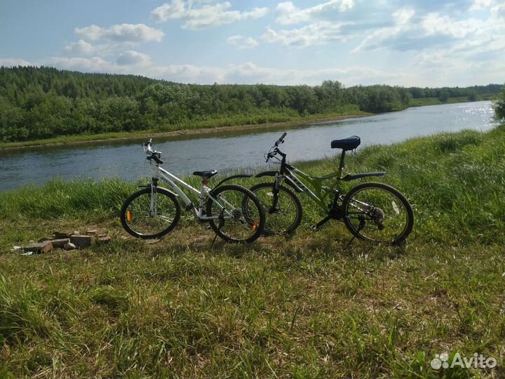 Велосипед в аренду