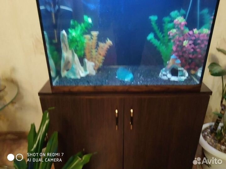 Аквариум