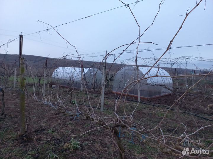 Теплица для Вас