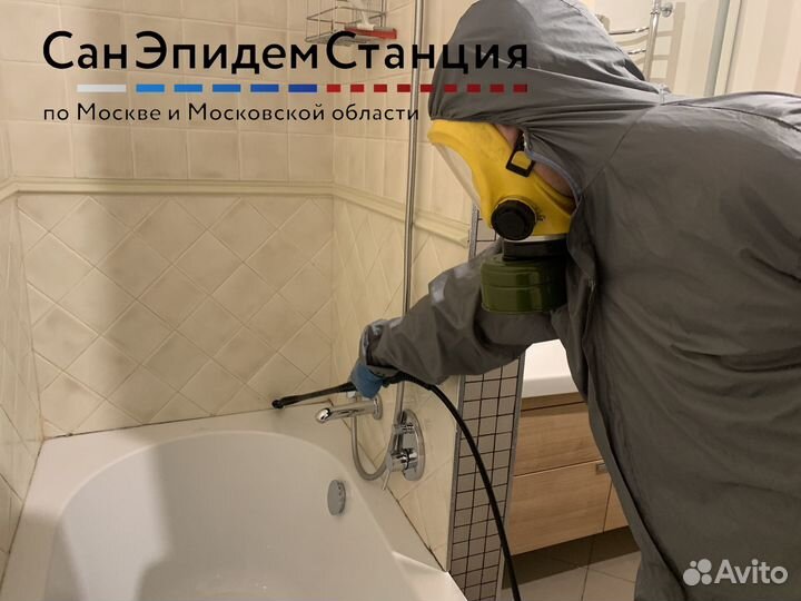 Удаление грибка и плесени, плесневых спор