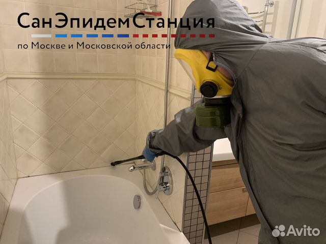 Удаление грибка и плесени, плесневых спор