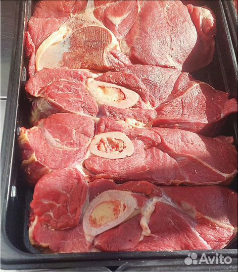 Мясо домашнее Говядина