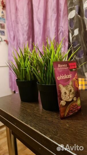 Икеа Фейка Искусственное растение в горшке, д/дома