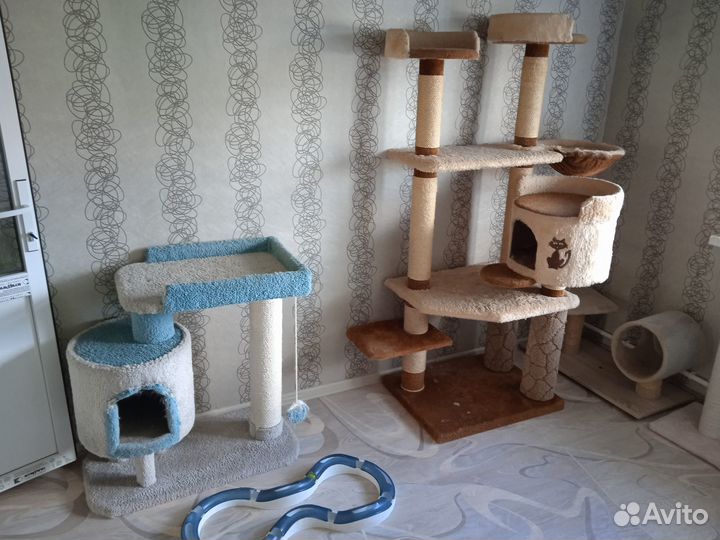 Всё для кошек