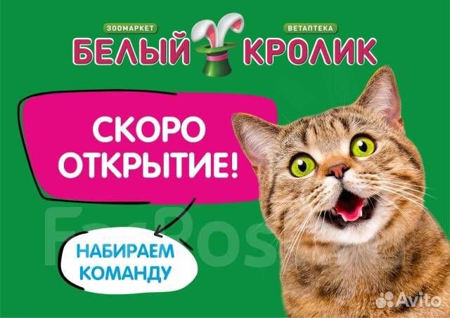 Продавец-кассир