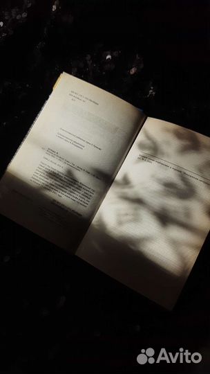 Фредерик Бегбедер 