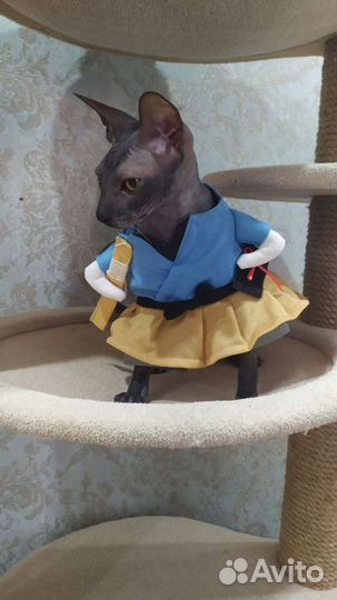 Карнавальный костюм для кошек