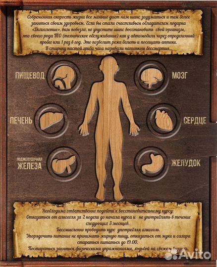Березовый гриб чага