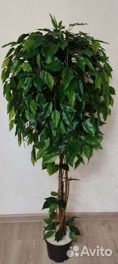 Фикус искусственный в ассортименте