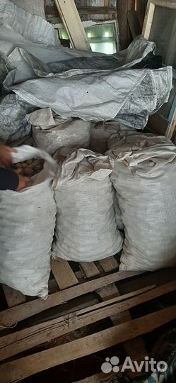 Продам картофель