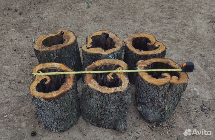 Спилы из ольхи. Деревянные пни для творчества