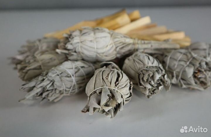 Шалфей Белый от 20шт опт для Озон