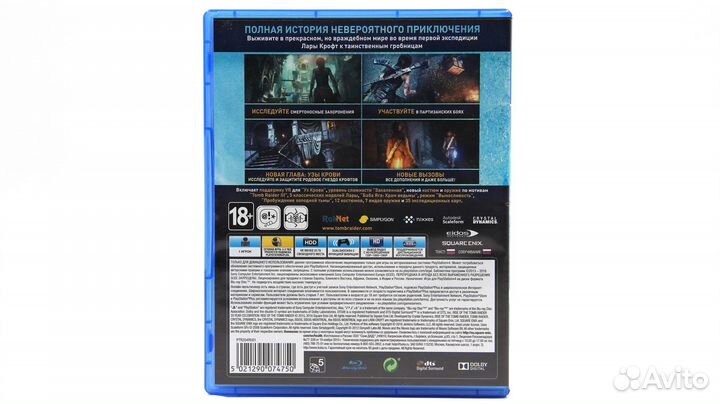 Rise of the Tomb Raider 20 Year Celebration для PS