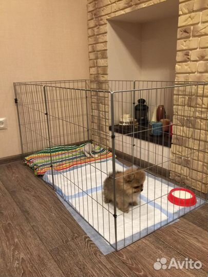 Клетка вольер для собак