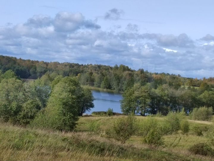 Участок 25 сот. (СНТ, ДНП)