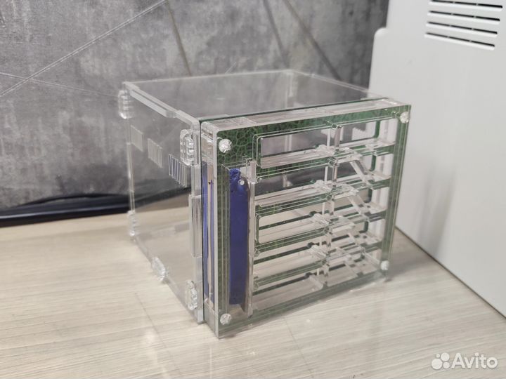 Муравьиная ферма (формикарий) с муравьями