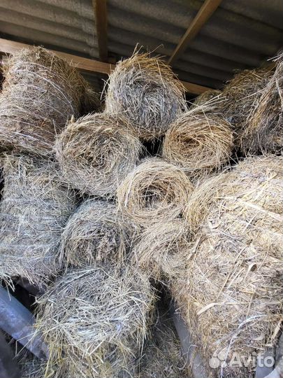 Сено люцерны в тюках