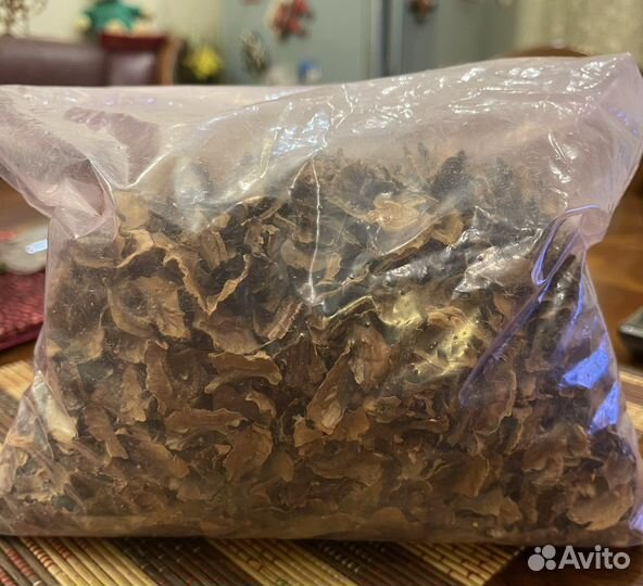 Перегородки грецких орехов