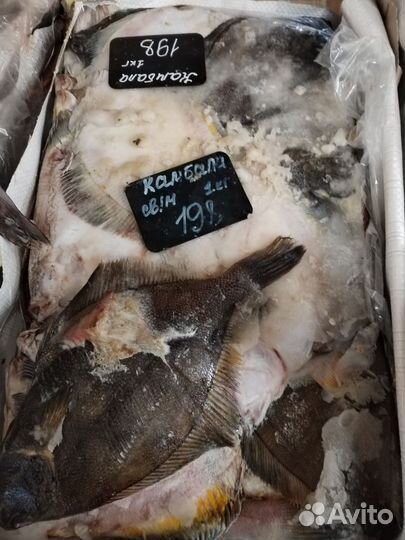 Минтай Горбуша Камбала