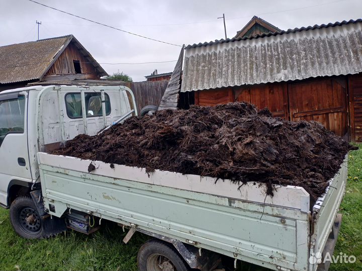 Навоз перегной
