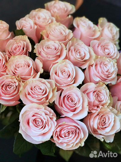 Букет 15 роз 25 роз 51 роза 101 роза цветы оптом