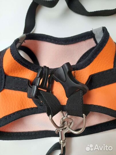 Шлейка, расческа для собак для кошек