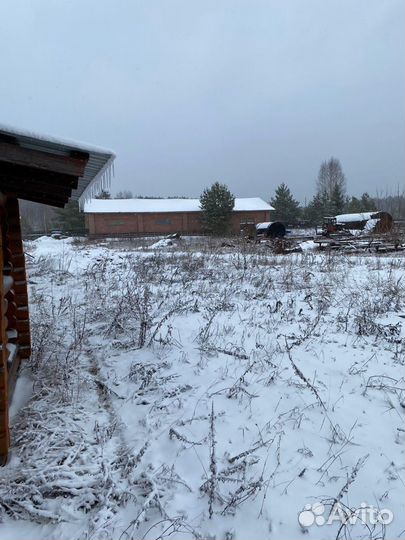 Производство по заготовке и переработке древесины