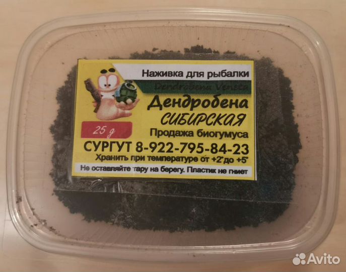 Червь Дендробена