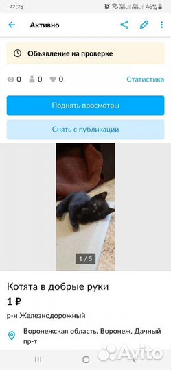 Отдам бесплатно