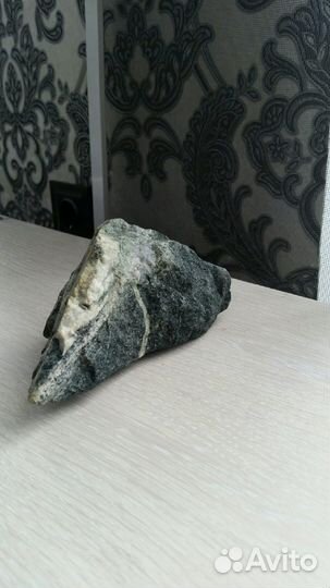 Водоросли для аквариума