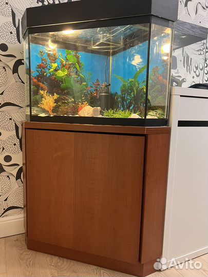 Аквариум с тумбой 50литров