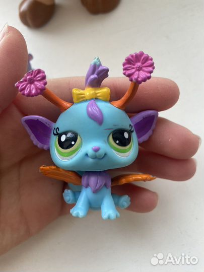 Littlest Pet Shop