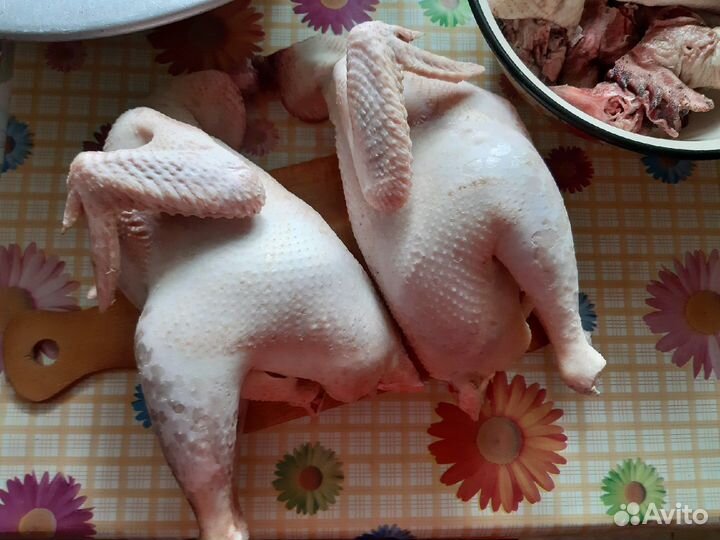 Домашнее мясо кур