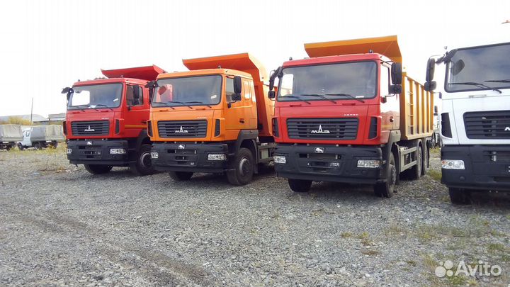 МАЗ 650128-8570-000, 2023