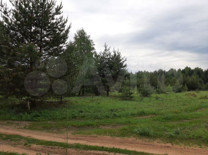 Участок 12 сот. (ИЖС)