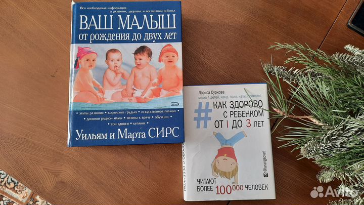 Сирс. Л. Суркова