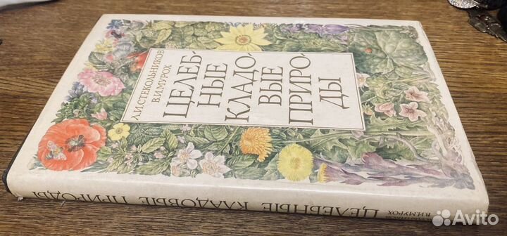 Стекольников Мурлх Целебные кладовые природы