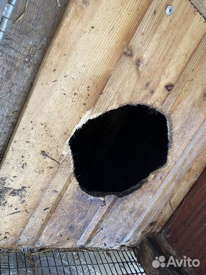 Клетки для кроликов, птицы