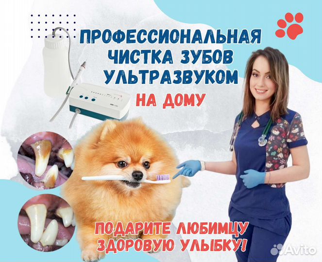 Ультразвуковая чистка зубов. Стоматолог. Ветеринар