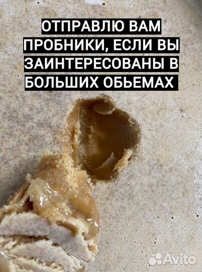 Мед оптом с Алтая от 0.5 Тонн