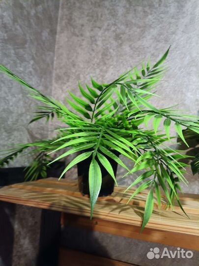 Искусственные растения IKEA аналог для декора