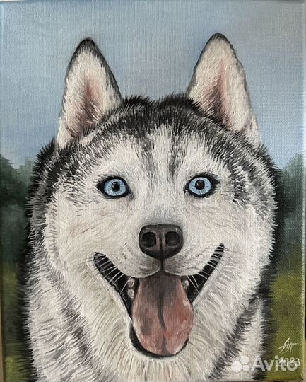 Картина маслом на холсте собака 20/25 Хаски