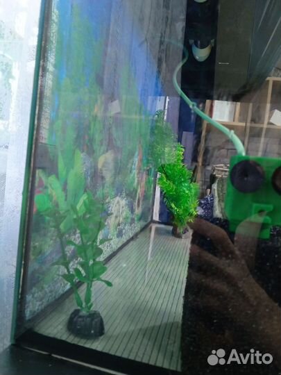 Аквариум 40 литров