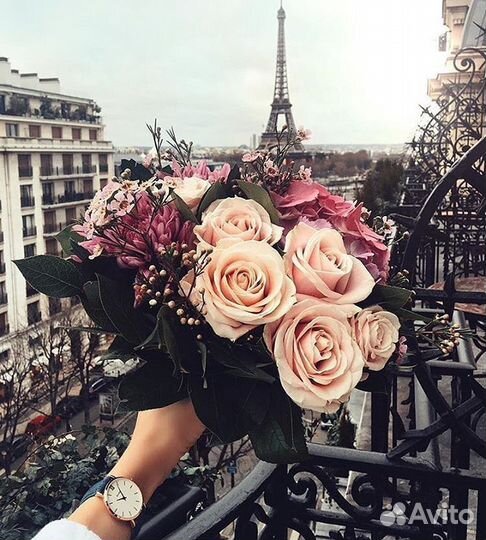 Монтаж видео/рилсмейкер